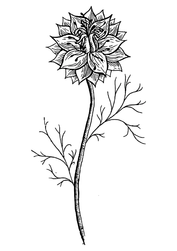 Filozofia firmy Orłowscy